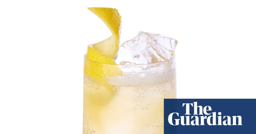 Cocktail of the week: Eleanore’s apple highball – recipe | Cocktails Cocktail of the week: Eleanore’s apple highball – recipe | Cocktails