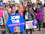 CLAIRE FOGES: I’m glad the menopause is no longer shrouded in secrecy. But I fear the ‘movement’ by the likes of Davina McCall has set women back – and could be to blame for middle aged joblessness CLAIRE FOGES: I'm glad the menopause is no longer shrouded in secrecy. But I fear the 'movement' by the likes of Davina McCall has set women back - and could be to blame for middle aged joblessness