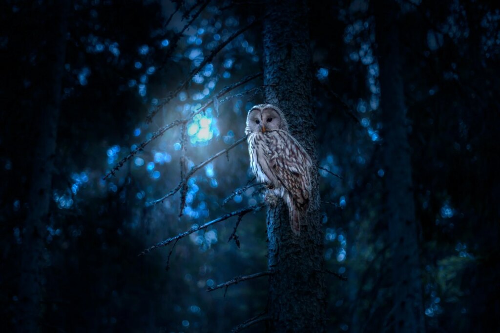 Here’s What Happens to Night Owls at Work, According to Science Here’s What Happens to Night Owls at Work, According to Science