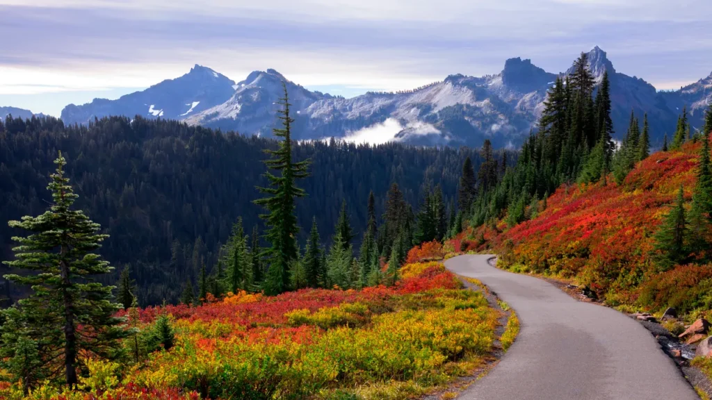 Where to Stay in the Pacific Northwest for a Coastal Fall Getaway